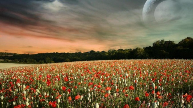 客户案例标题一